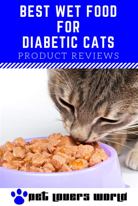 best wet food for diabetic cat|food recommendations for diabetic cats.